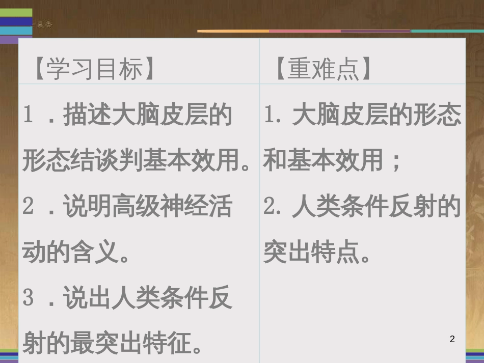 七年级生物下册 12.1 神经系统与神经调节（第3课时）课件 北师大版_第2页