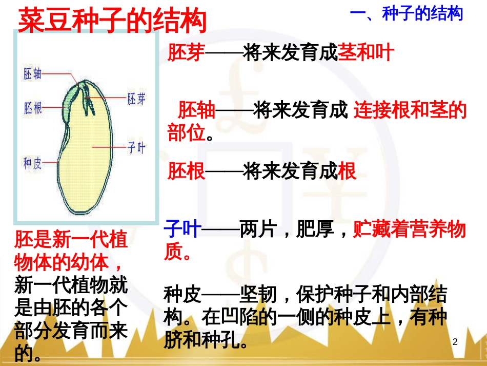 五年级英语下册《Recycle 2》课件4 人教PEP版 (213)_第2页