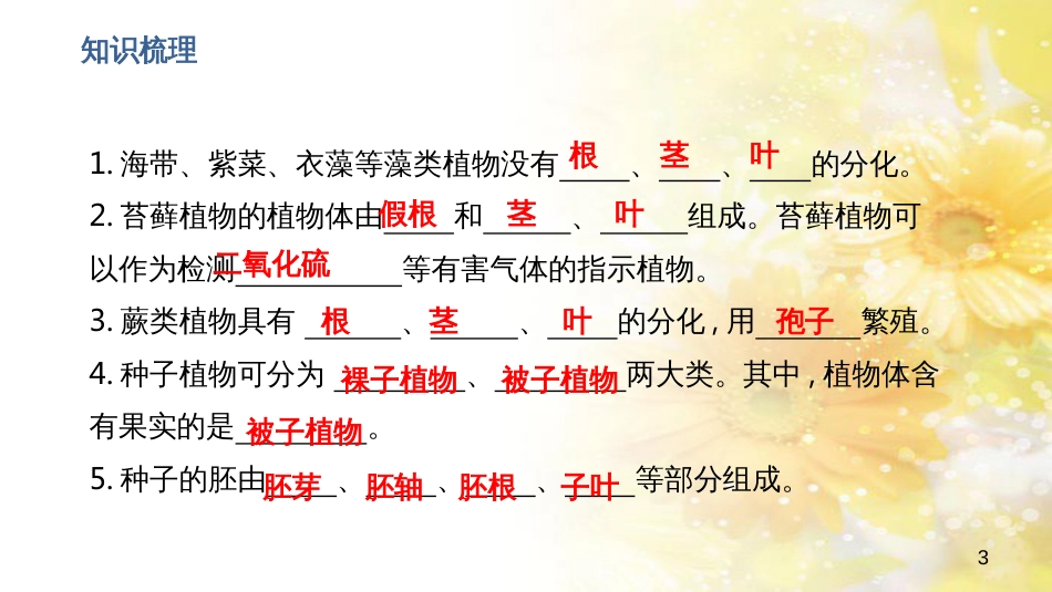 中考生物一轮复习 真菌课件 (8)_第3页