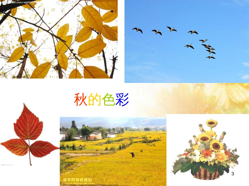中考物理 内能的利用专题复习课件 (31)_第3页