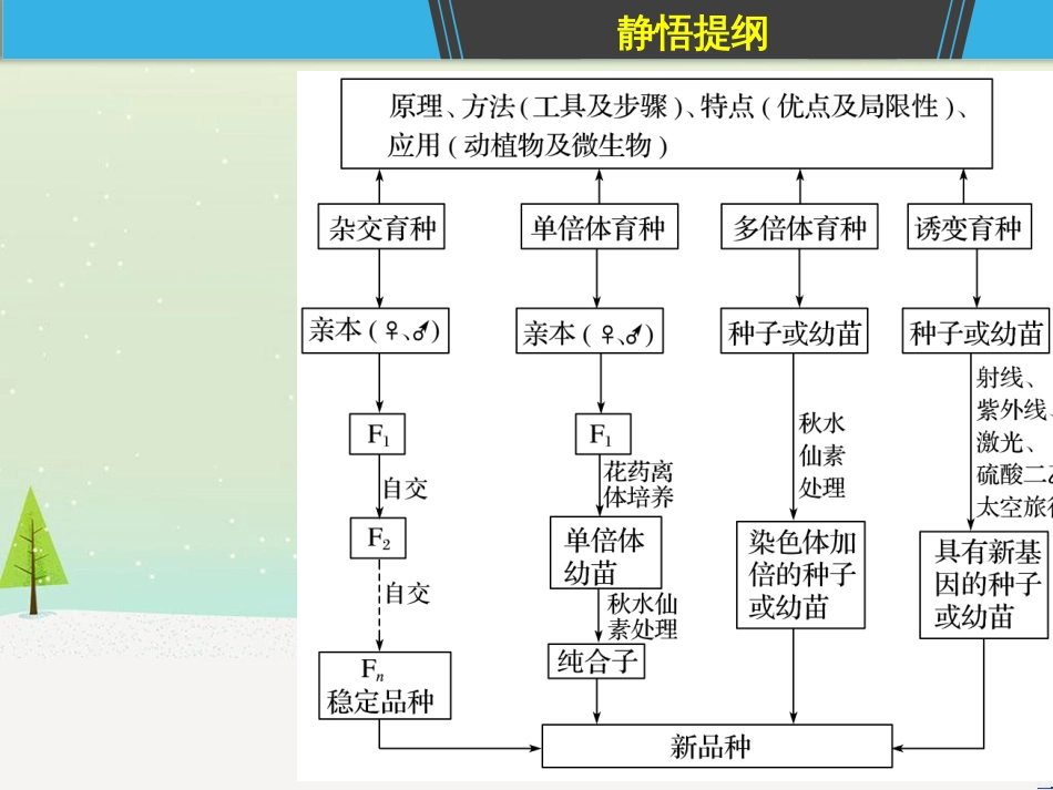 高考地理一轮复习 第1章 宇宙中的地球（含地球和地图）第1节 地球与地球仪课件 湘教版 (39)_第3页