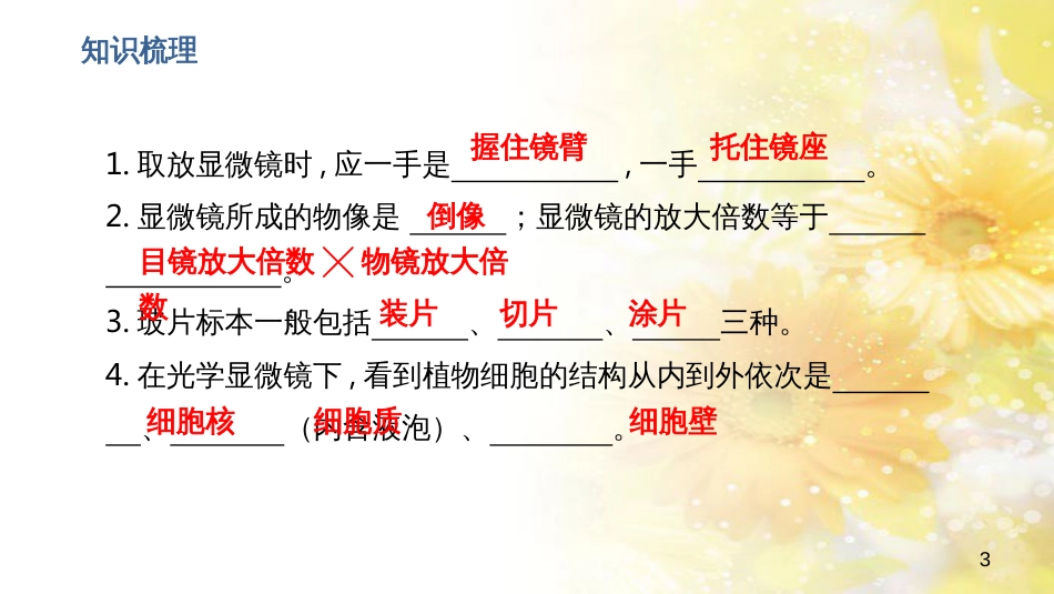 中考生物一轮复习 真菌课件 (6)_第3页