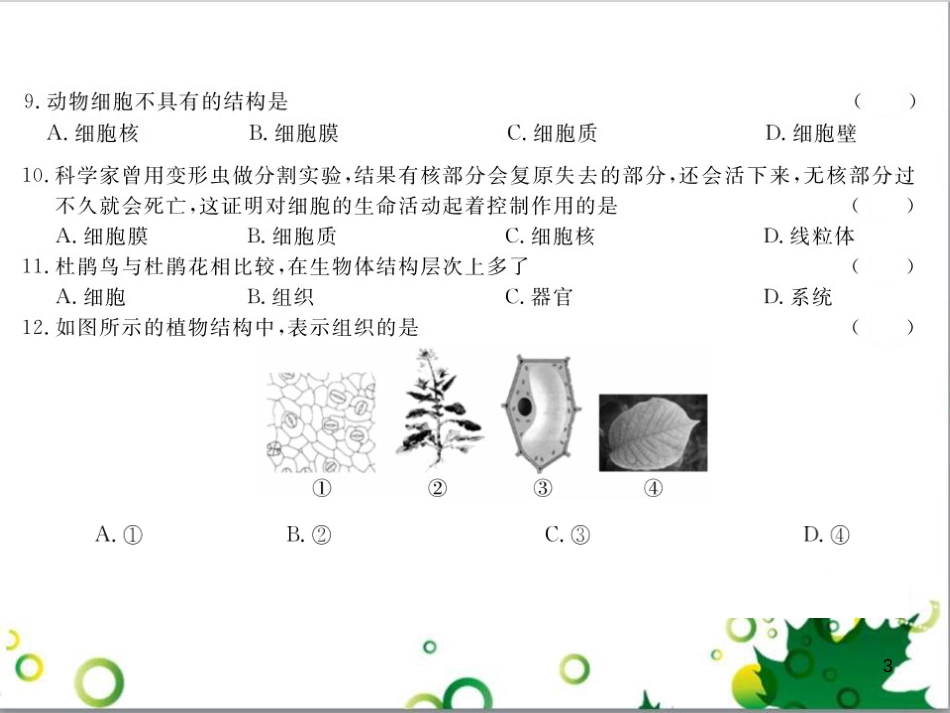 三年级语文上册 第三单元期末总复习课件 新人教版 (1313)_第3页