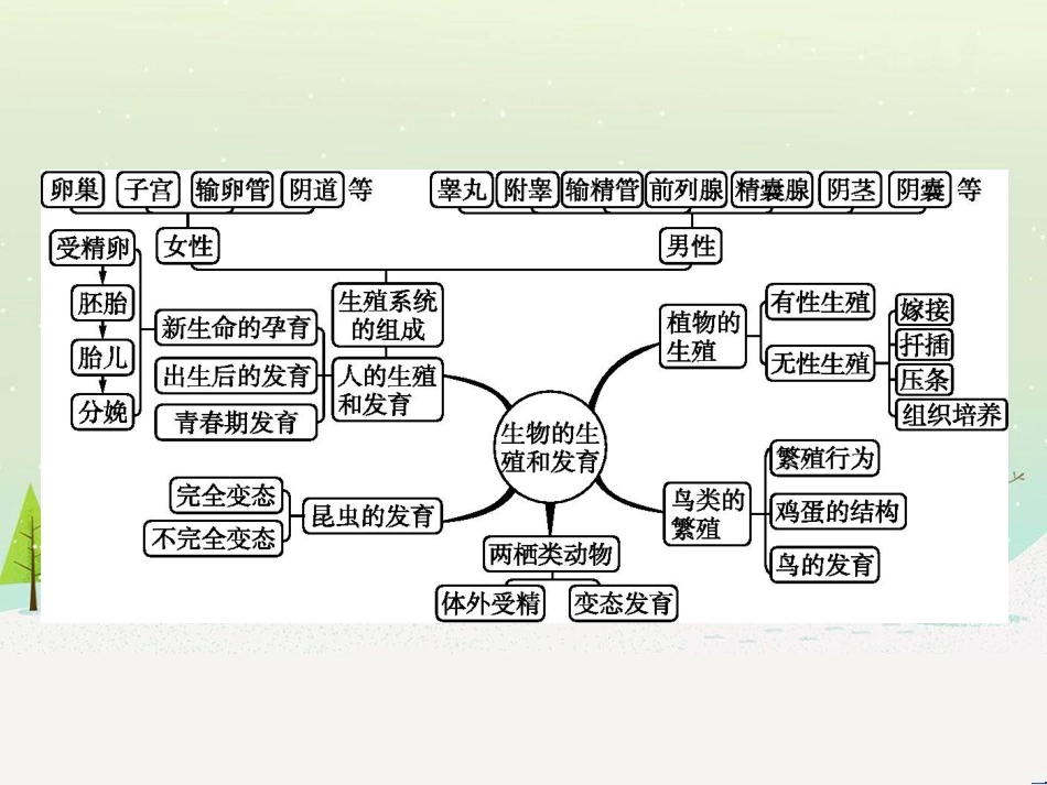 高中政治 第1课 生活在人民当家作主的国家 第2框 政治权利与义务参与政治生活的基础课件 新人教版必修2 (30)_第2页