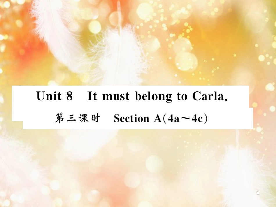 九年级英语全册 Unit 8 It must belong to Carla（第3课时）习题课件 （新版）人教新目标版_第1页