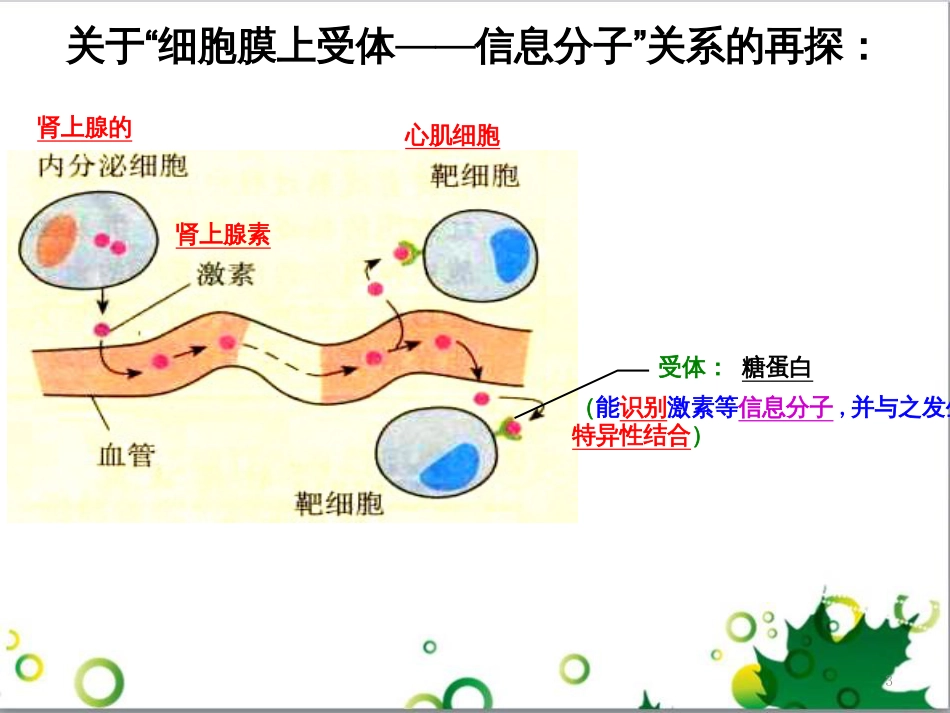 高中生物 专题5 生态工程 阶段复习课课件 新人教版选修3 (216)_第3页