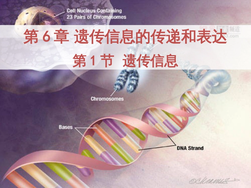 高中生物 专题5 生态工程 阶段复习课课件 新人教版选修3 (173)_第1页