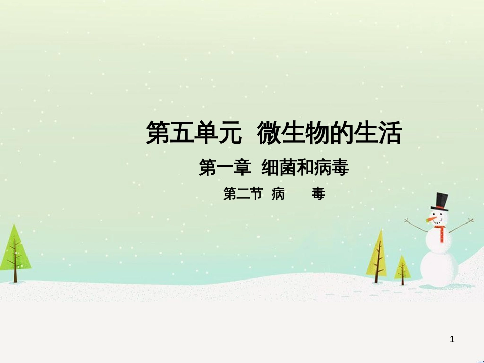 高中政治 第1课 生活在人民当家作主的国家 第2框 政治权利与义务参与政治生活的基础课件 新人教版必修2 (20)_第1页