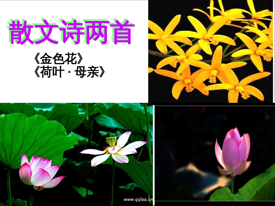 七年级语文上册 第一单元 作文训练 热爱生活，热爱写作课件 新人教版 (14)_第1页