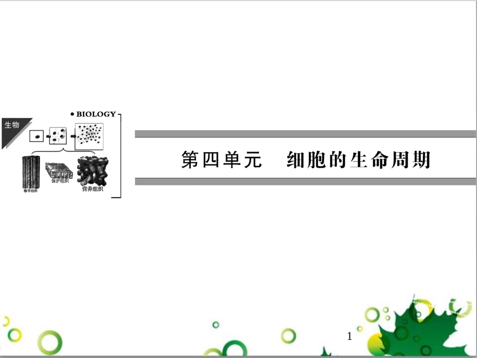 九年级历史上册 总复习课件 北师大版 (29)_第1页