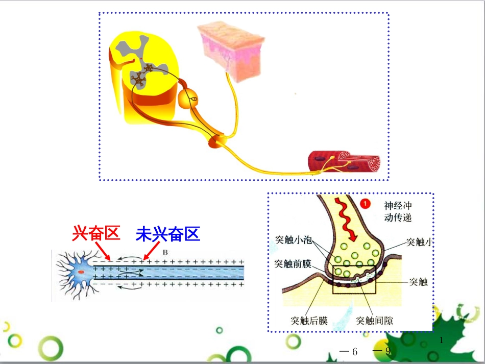 高中生物 专题5 生态工程 阶段复习课课件 新人教版选修3 (158)_第1页