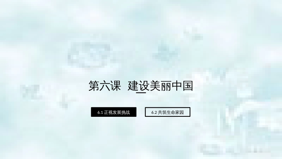 九年级道德与法治上册 第三单元 文明与家园 第六课 建设美丽中国 第一框 正视发展挑战优质课件 新人教版_第1页