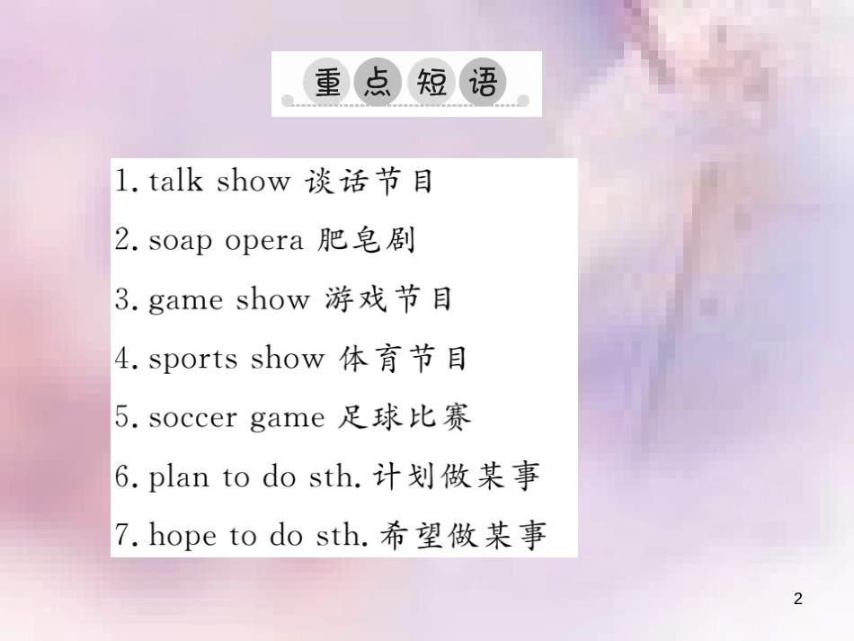 八年级英语上册 Unit 5 Do you want to watch a game show单元重点短语与句型习题课件 （新版）人教新目标版_第2页