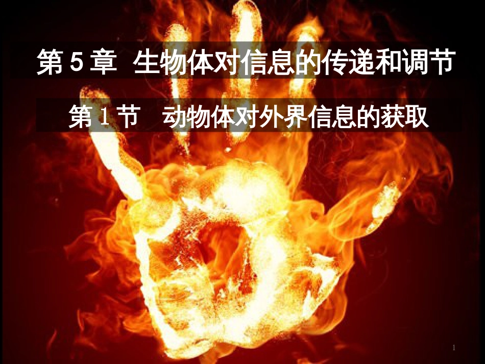 高中生物 专题5 生态工程 阶段复习课课件 新人教版选修3 (151)_第1页
