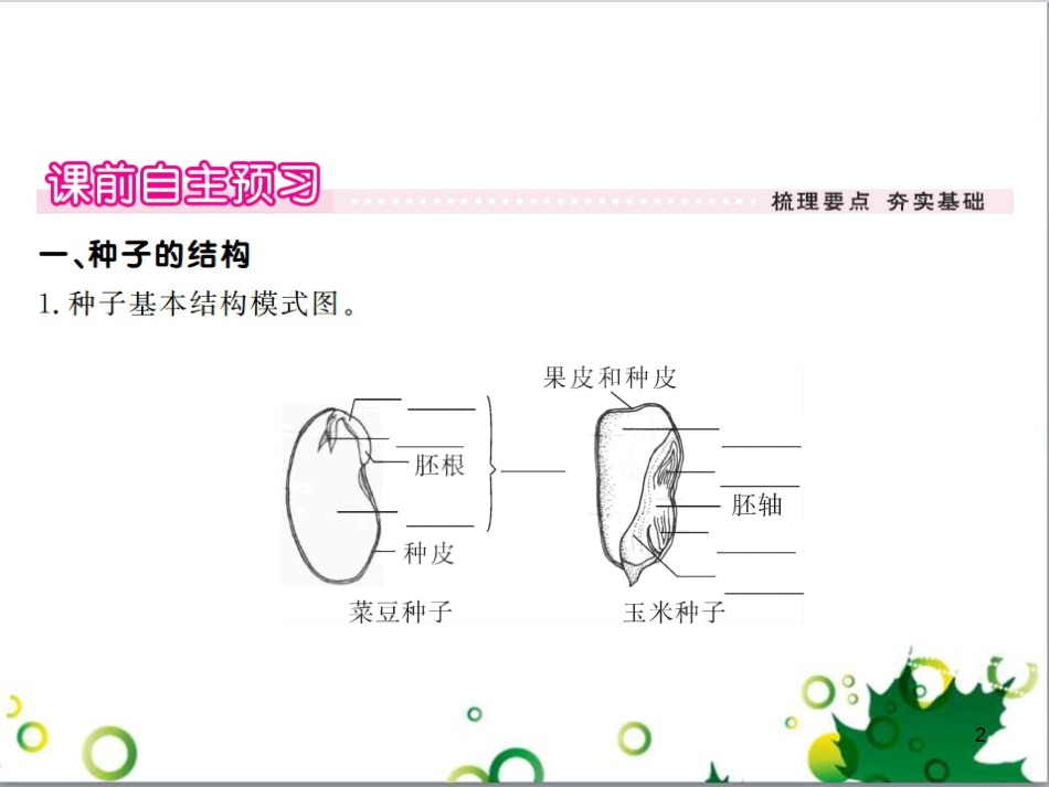 三年级语文上册 第三单元期末总复习课件 新人教版 (1278)_第2页