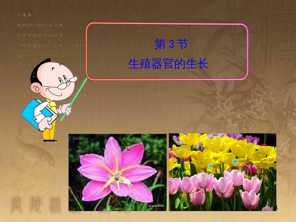 七年级生物上册 第三单元 第6章 绿色开花植物的生活史 第3节《生殖器官的生长》课件 （新版）北师大版_第1页