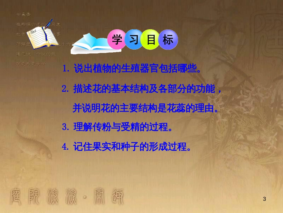 七年级生物上册 第三单元 第6章 绿色开花植物的生活史 第3节《生殖器官的生长》课件 （新版）北师大版_第3页