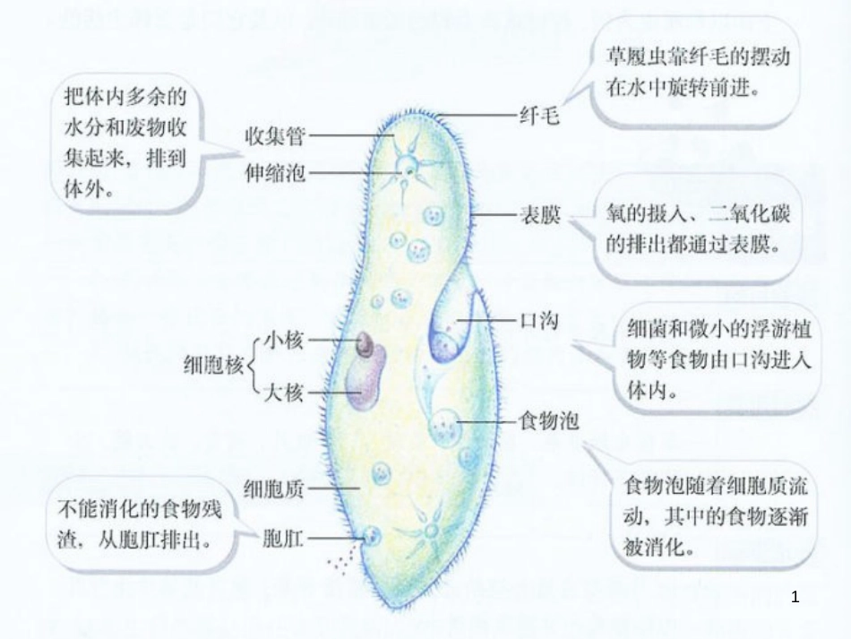 高中生物 专题5 生态工程 阶段复习课课件 新人教版选修3 (228)_第1页