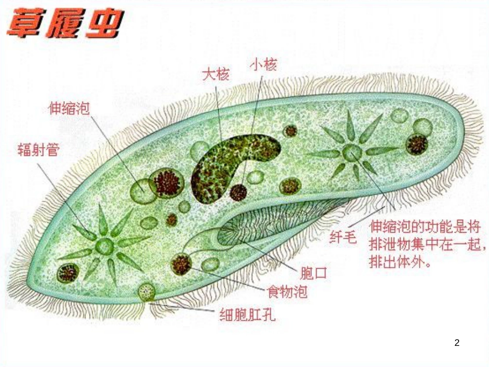 高中生物 专题5 生态工程 阶段复习课课件 新人教版选修3 (228)_第2页