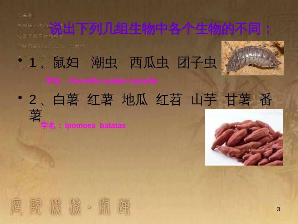 七年级生物下册 第五单元 第14章 生物的命名和分类 第1节 生物的命名和分类课件1 （新版）苏科版_第3页