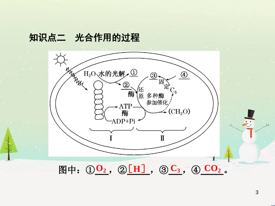 高考化学一轮复习 第1章 化学计量在实验中的应用 第1讲 物质的量 气体摩尔体积课件 新人教版 (42)_第3页