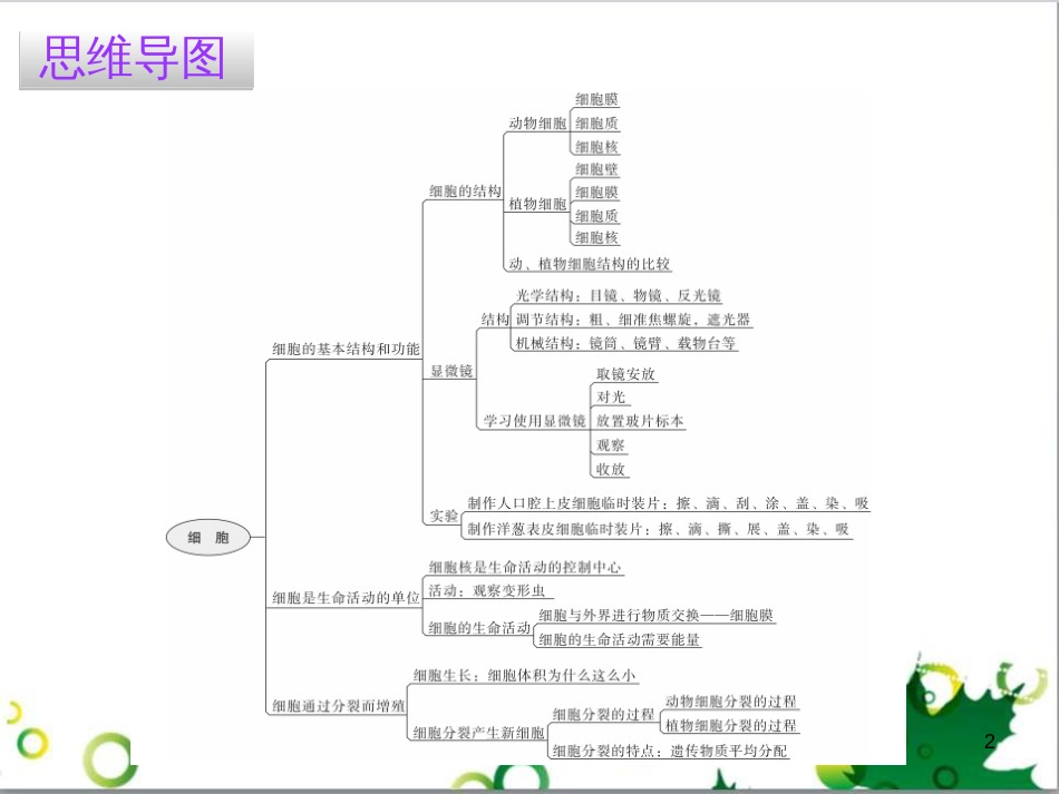 三年级语文上册 第三单元期末总复习课件 新人教版 (1236)_第2页