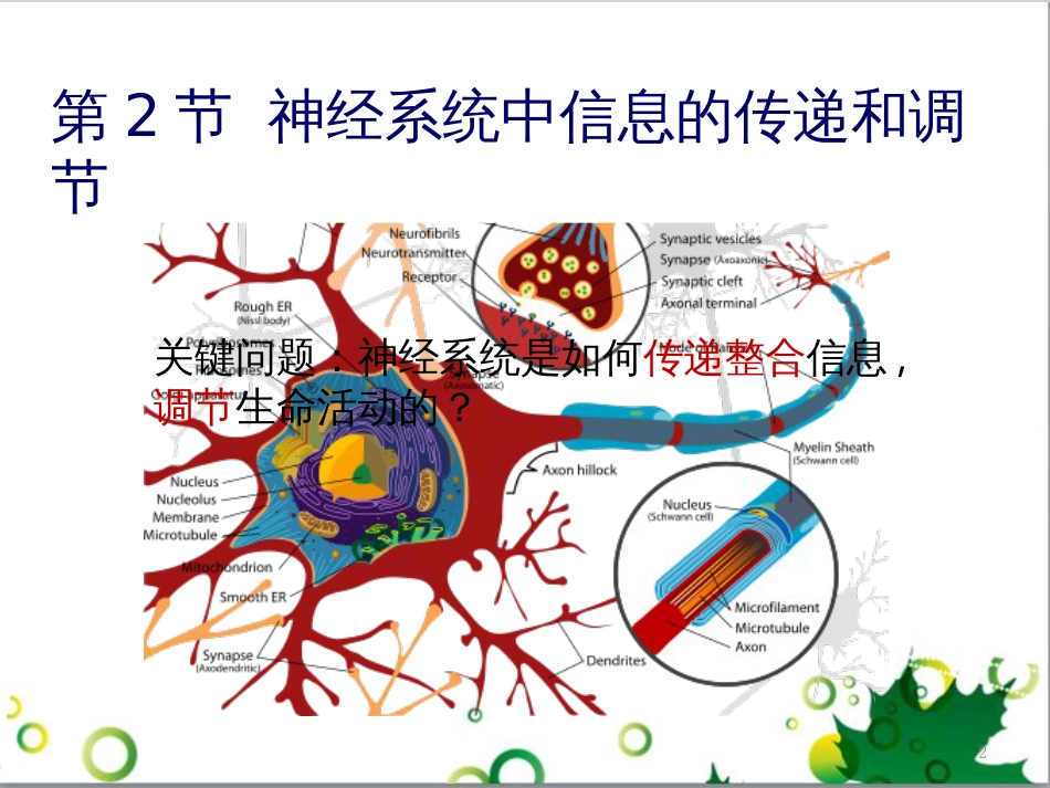 高中生物 专题5 生态工程 阶段复习课课件 新人教版选修3 (156)_第2页