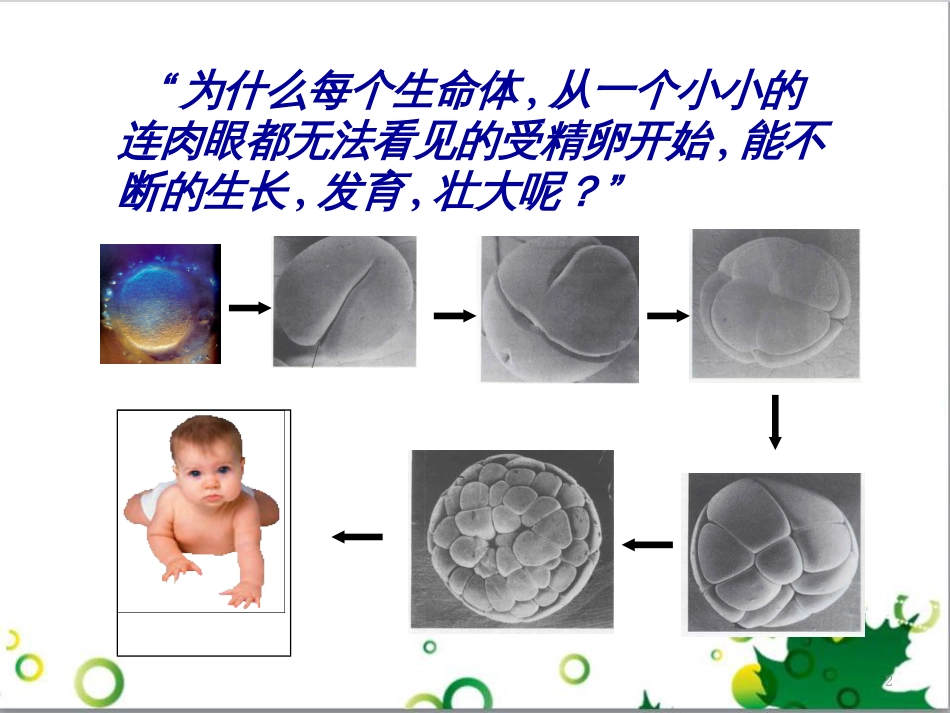 高中生物 专题5 生态工程 阶段复习课课件 新人教版选修3 (187)_第2页