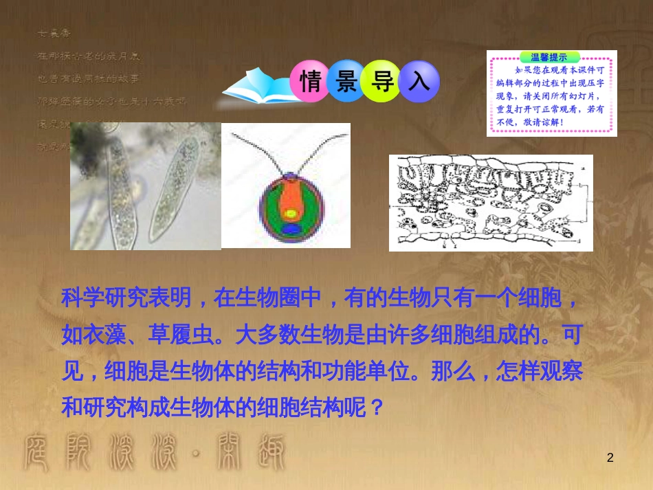 七年级生物上册 第二单元 生物体的结构 第3章 细胞 第1节 细胞的基本结构和功能课件2 （新版）北师大版_第2页