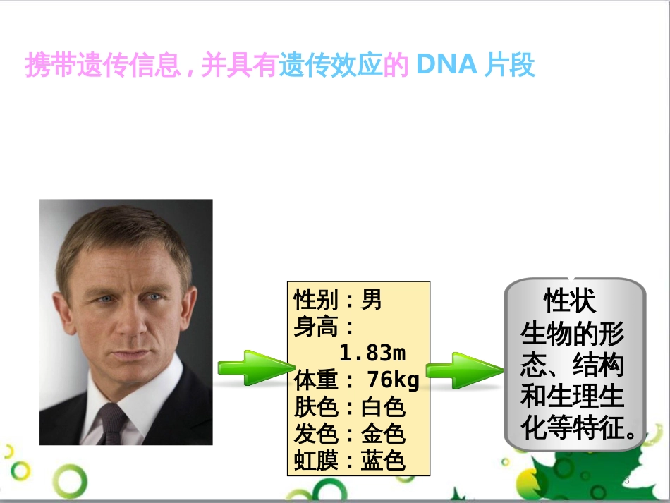 高中生物 专题5 生态工程 阶段复习课课件 新人教版选修3 (176)_第3页