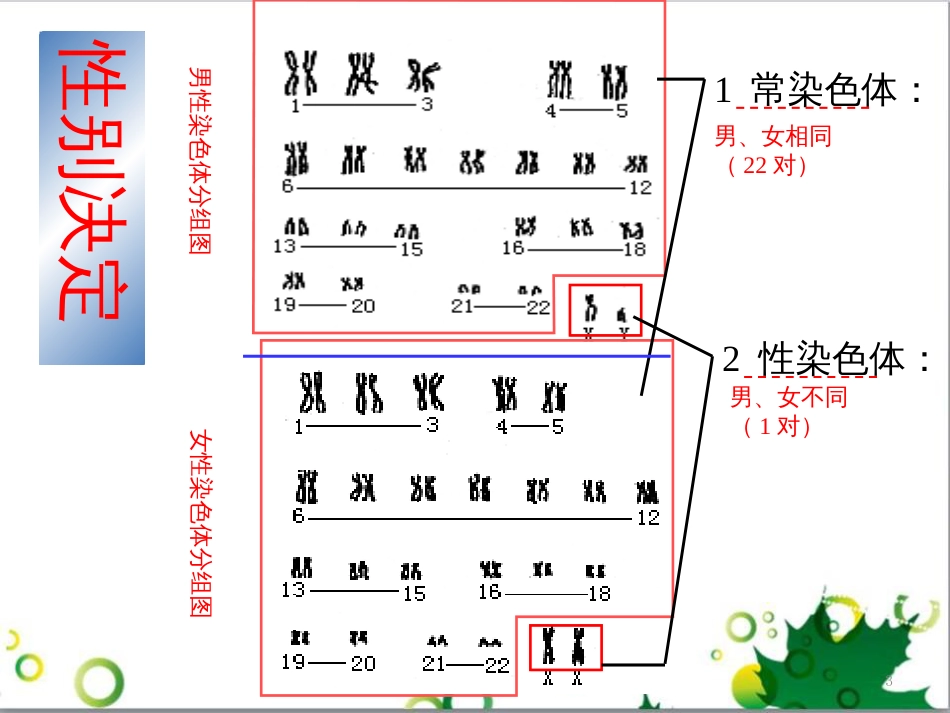 高中生物 专题5 生态工程 阶段复习课课件 新人教版选修3 (205)_第3页