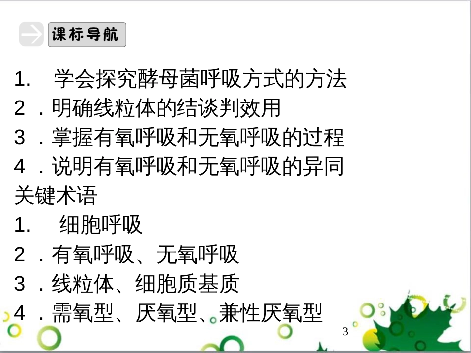九年级历史上册 总复习课件 北师大版 (23)_第3页