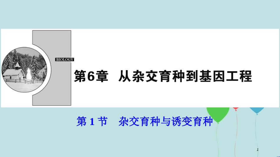 2017-2018学年高中生物 第六章 从杂交育种到基因工程 第1节 杂交育种与诱变育种课件 新人教版必修2_第1页