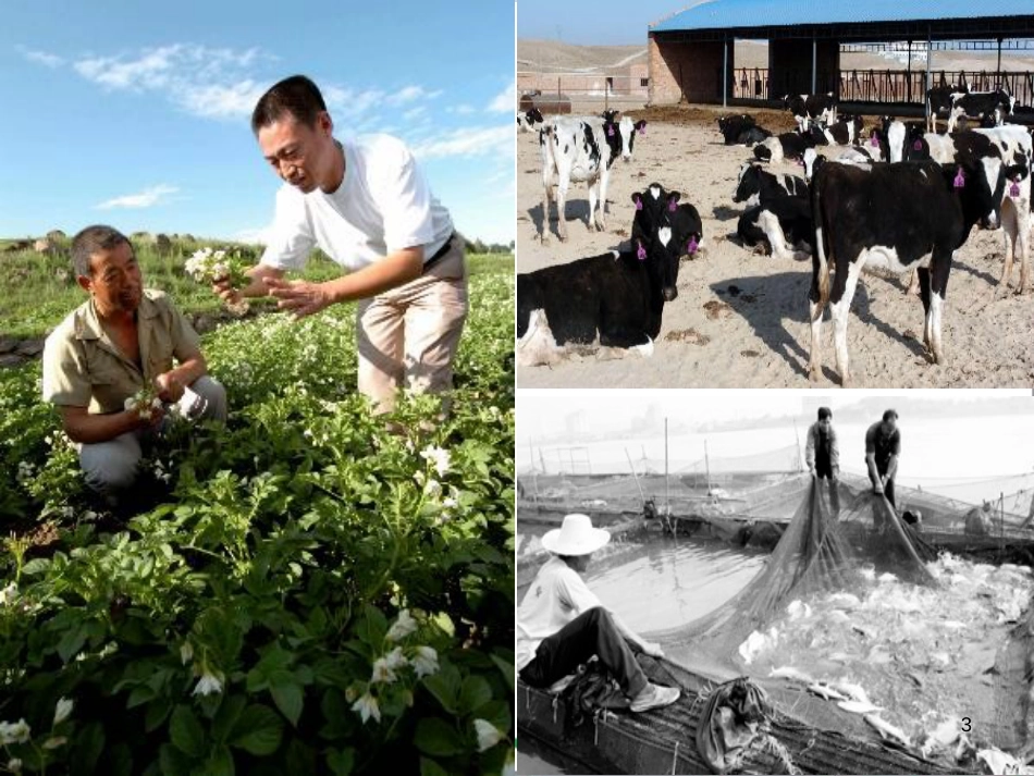 三年级语文上册 第三单元期末总复习课件 新人教版 (1148)_第3页