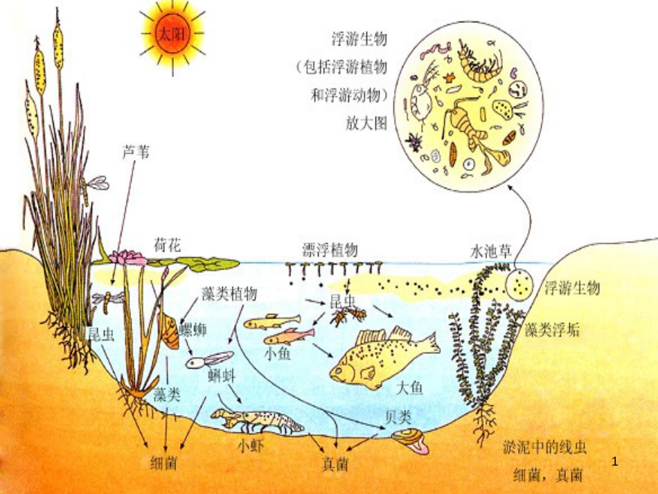 高中生物 专题5 生态工程 阶段复习课课件 新人教版选修3 (211)_第1页