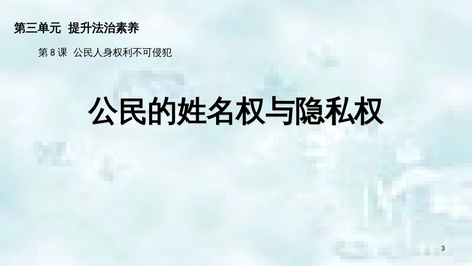 九年级道德与法治上册 第三单元 提升法治素养 第8课 公民人身权利不可侵犯 第2框 公民的姓名权与隐私权优质课件 苏教版_第3页