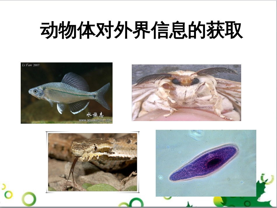 高中生物 专题5 生态工程 阶段复习课课件 新人教版选修3 (150)_第2页