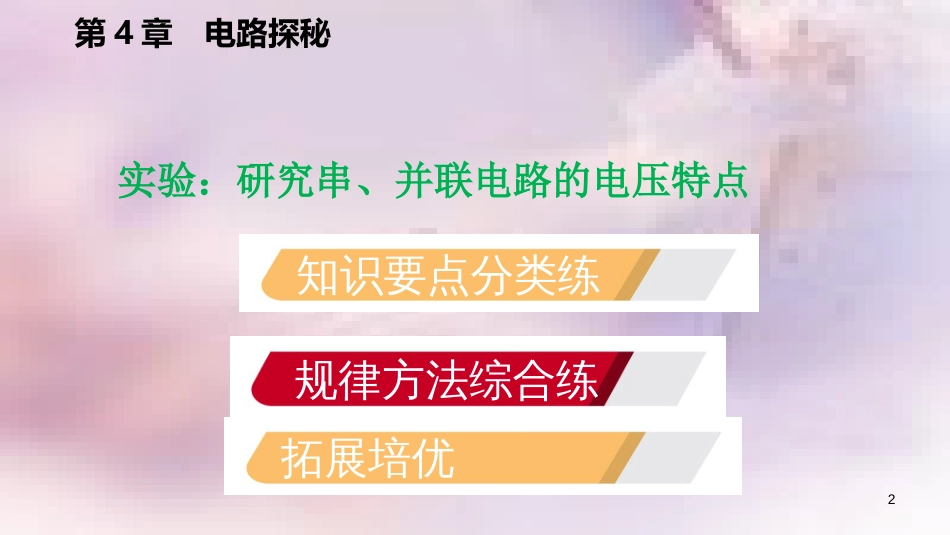 八年级科学上册 第4章 电路探秘 4.5 电压的测量 实验：研究串、并联电路的电压特点练习课件 （新版）浙教版_第2页