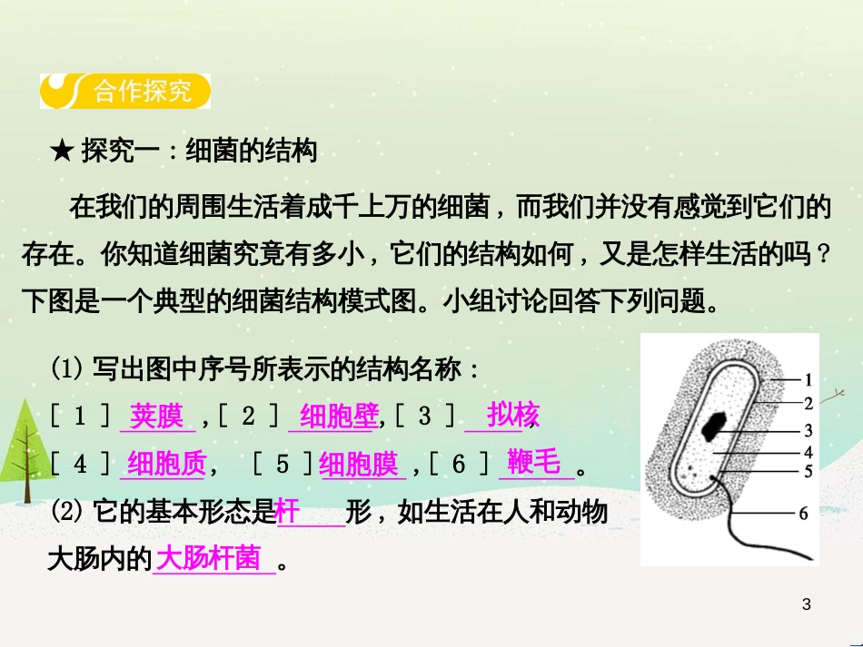 高中政治 第1课 生活在人民当家作主的国家 第2框 政治权利与义务参与政治生活的基础课件 新人教版必修2 (19)_第3页