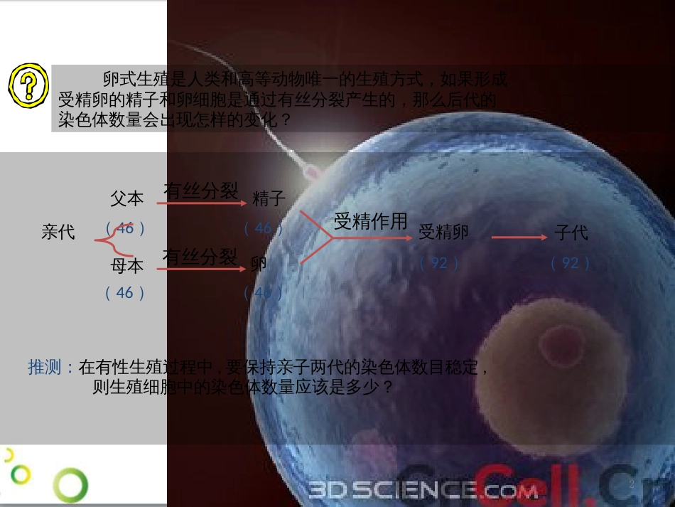 高中生物 专题5 生态工程 阶段复习课课件 新人教版选修3 (190)_第2页