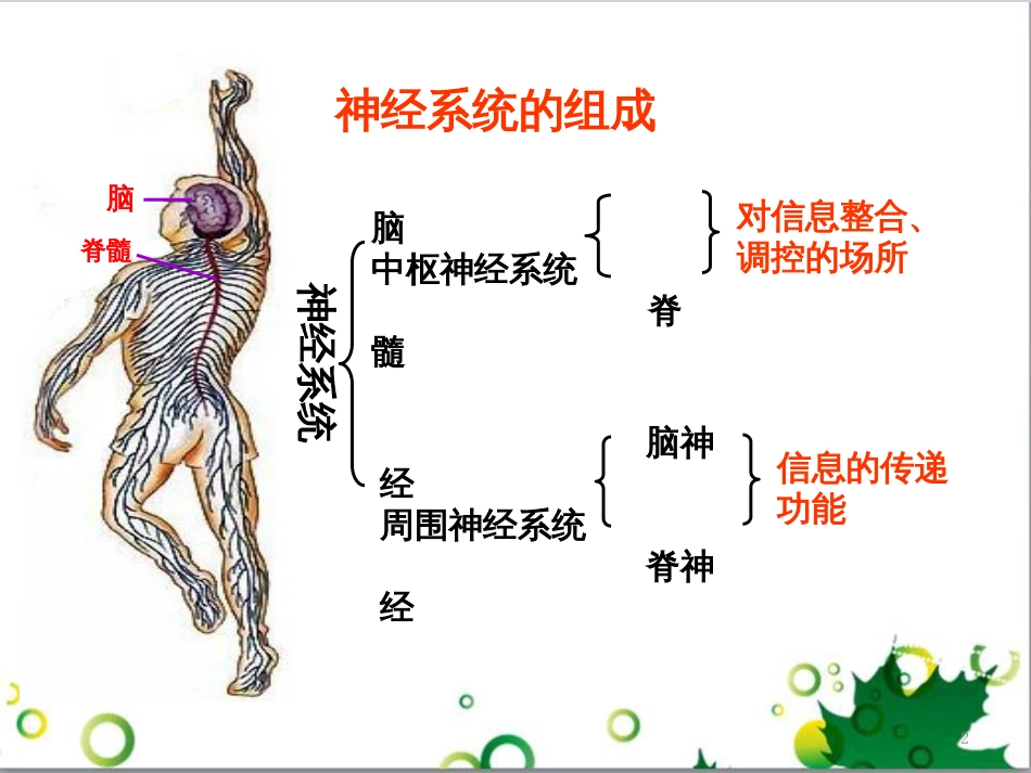 高中生物 专题5 生态工程 阶段复习课课件 新人教版选修3 (152)_第2页