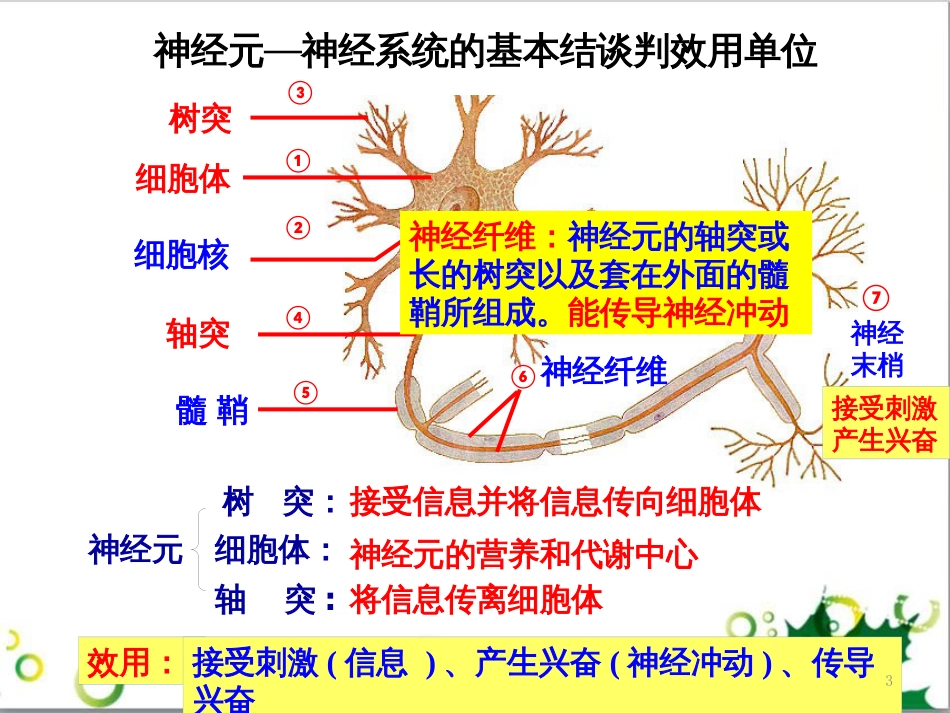 高中生物 专题5 生态工程 阶段复习课课件 新人教版选修3 (152)_第3页