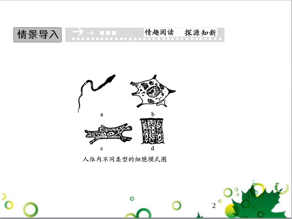 九年级历史上册 总复习课件 北师大版 (39)_第2页