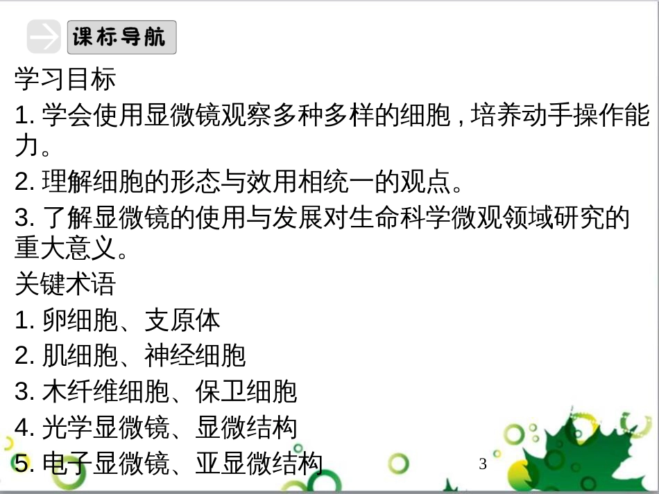 九年级历史上册 总复习课件 北师大版 (39)_第3页