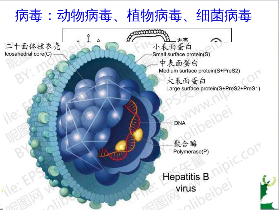 高中生物 专题5 生态工程 阶段复习课课件 新人教版选修3 (233)_第3页