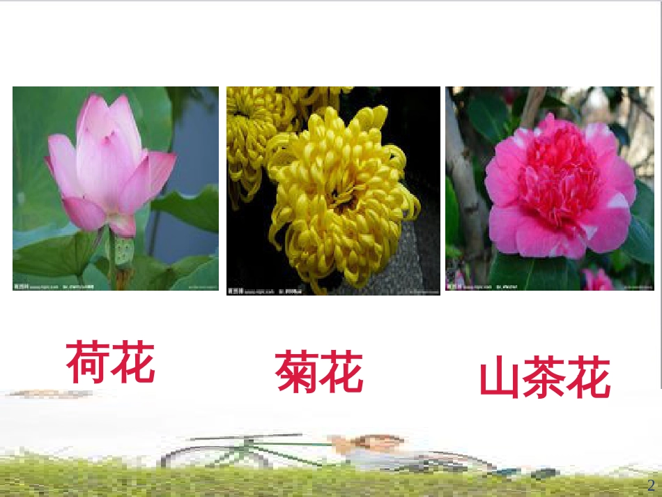 高中生物 专题5 生态工程 阶段复习课课件 新人教版选修3 (68)_第2页