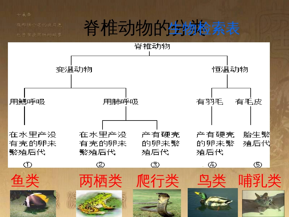 七年级生物下册 第五单元 第14章 生物的命名和分类 第2节 生物检索表 制作检索表素材 （新版）苏科版_第2页