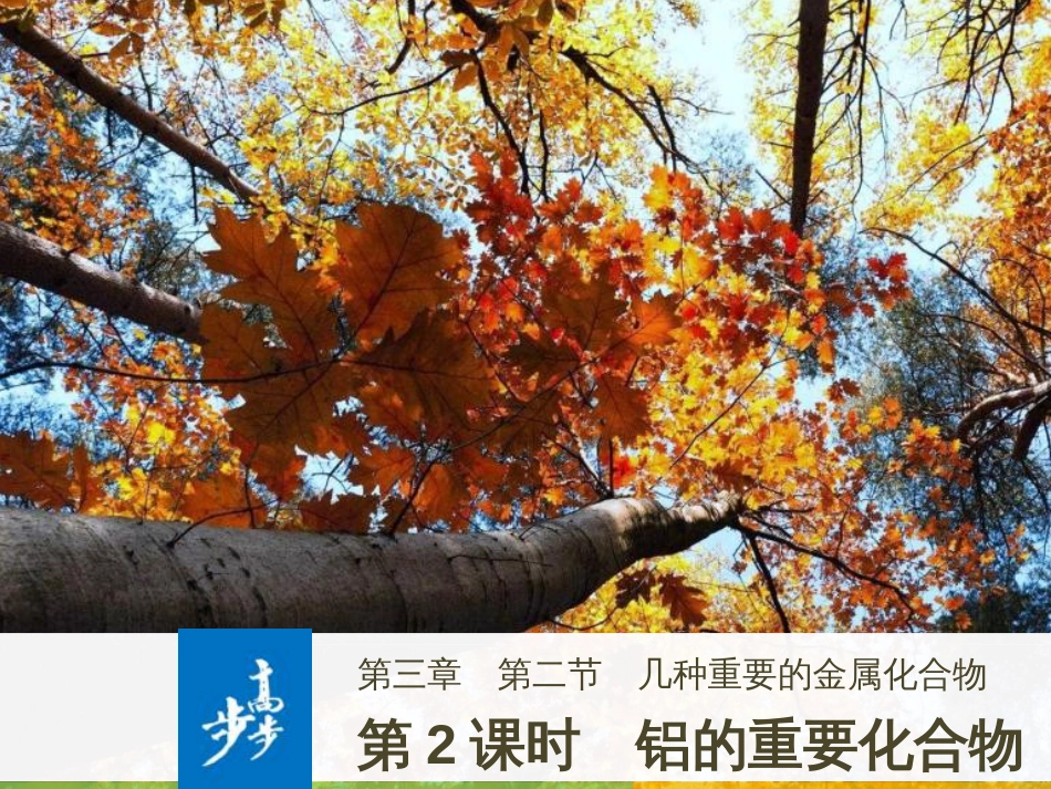 高中政治 第1课 生活在人民当家作主的国家 第2框 政治权利与义务参与政治生活的基础课件 新人教版必修2 (559)_第1页
