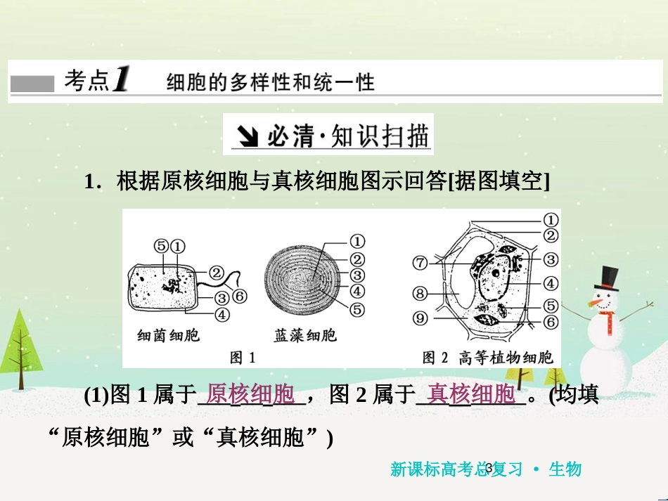 高考化学一轮复习 第1章 化学计量在实验中的应用 第1讲 物质的量 气体摩尔体积课件 新人教版 (116)_第3页