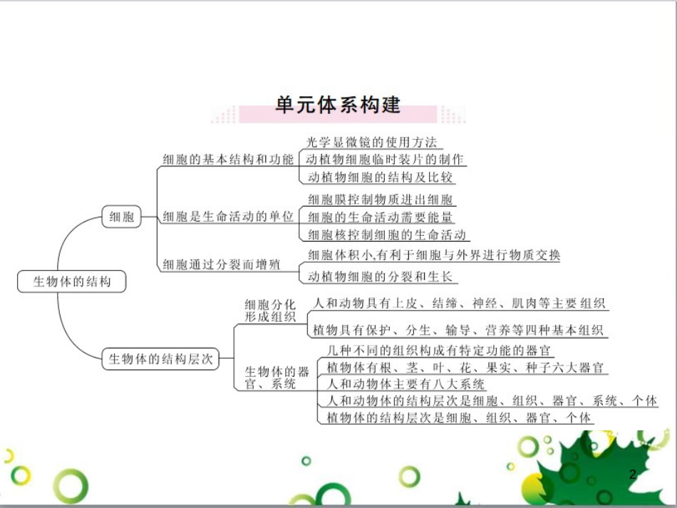 三年级语文上册 第三单元期末总复习课件 新人教版 (1248)_第2页